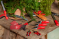 Preview: FELCO 630 | Gebogene Säge mit ziehendem Schnitt | 33 cm | Produktübersicht
